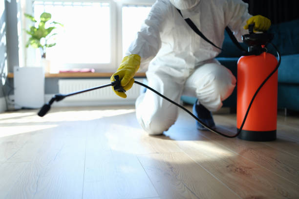 Reliable Biohazard contractor in New London, TX by Trauma Clean Pros